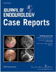 Journal of Endourology - Case Reports