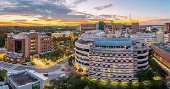 university florida